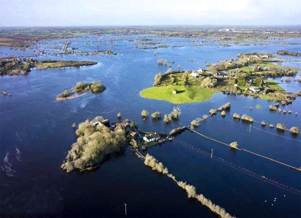 Save Our Shannon Organisation